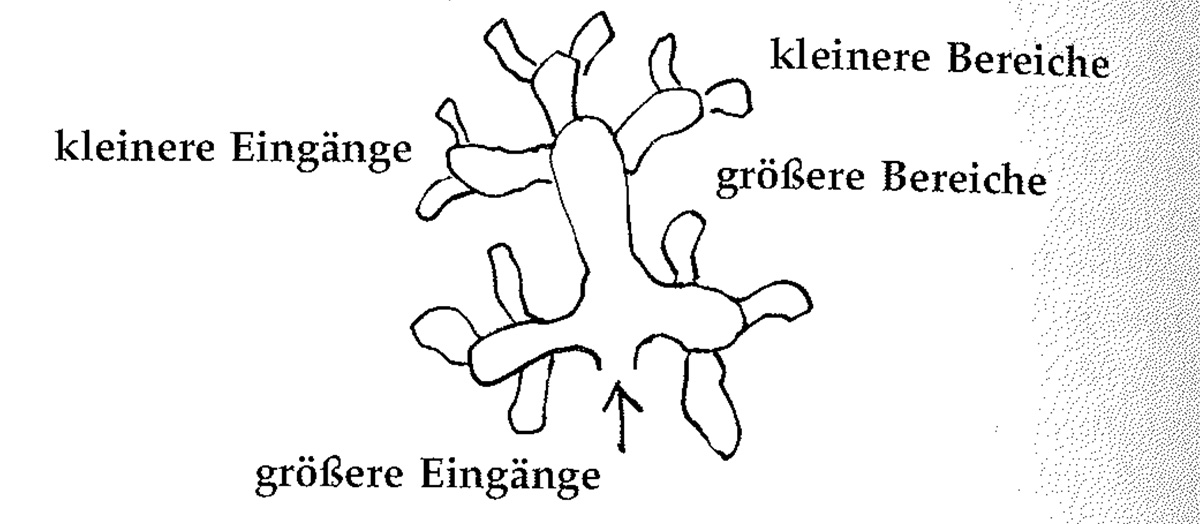 Eine Muster Sprache   98 ORIENTIERUNG DURCH BEREICHE 1