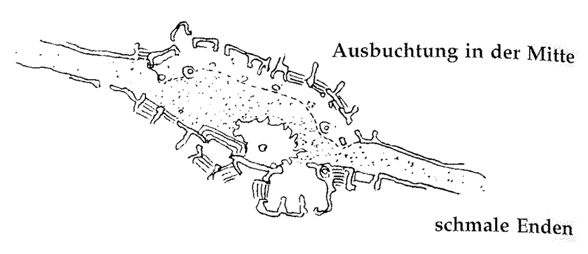 Eine Muster Sprache 121 DIE FORM VON WEGEN 1