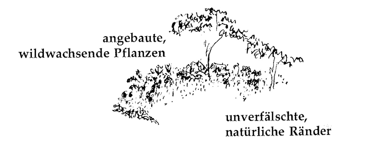 Eine Muster Sprache 172 WILDWACHSENDER GARTEN