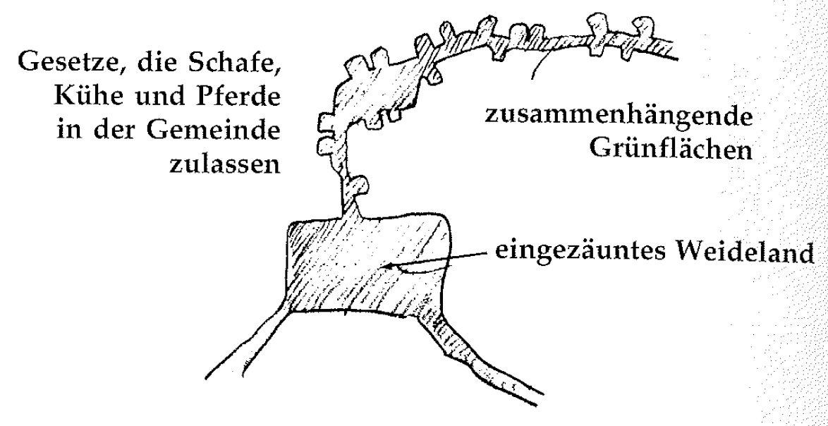 Eine Muster Sprache 74 TIERE